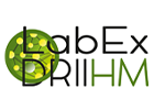 DRIIHM - logotype
