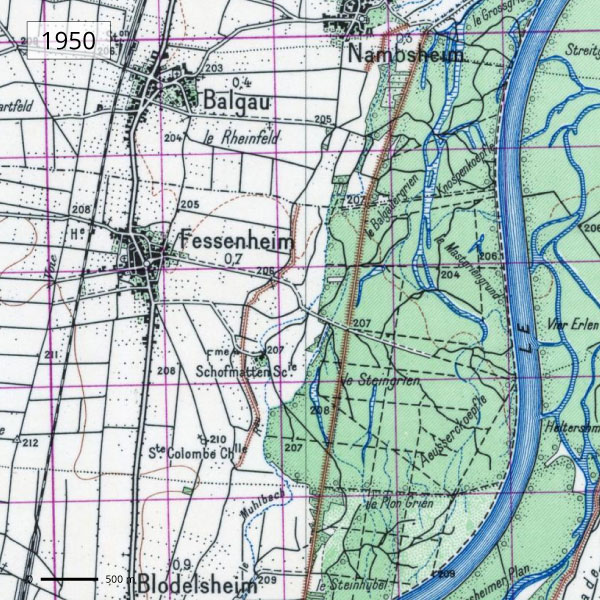 Territoire de Fessenheim - Carte 1950